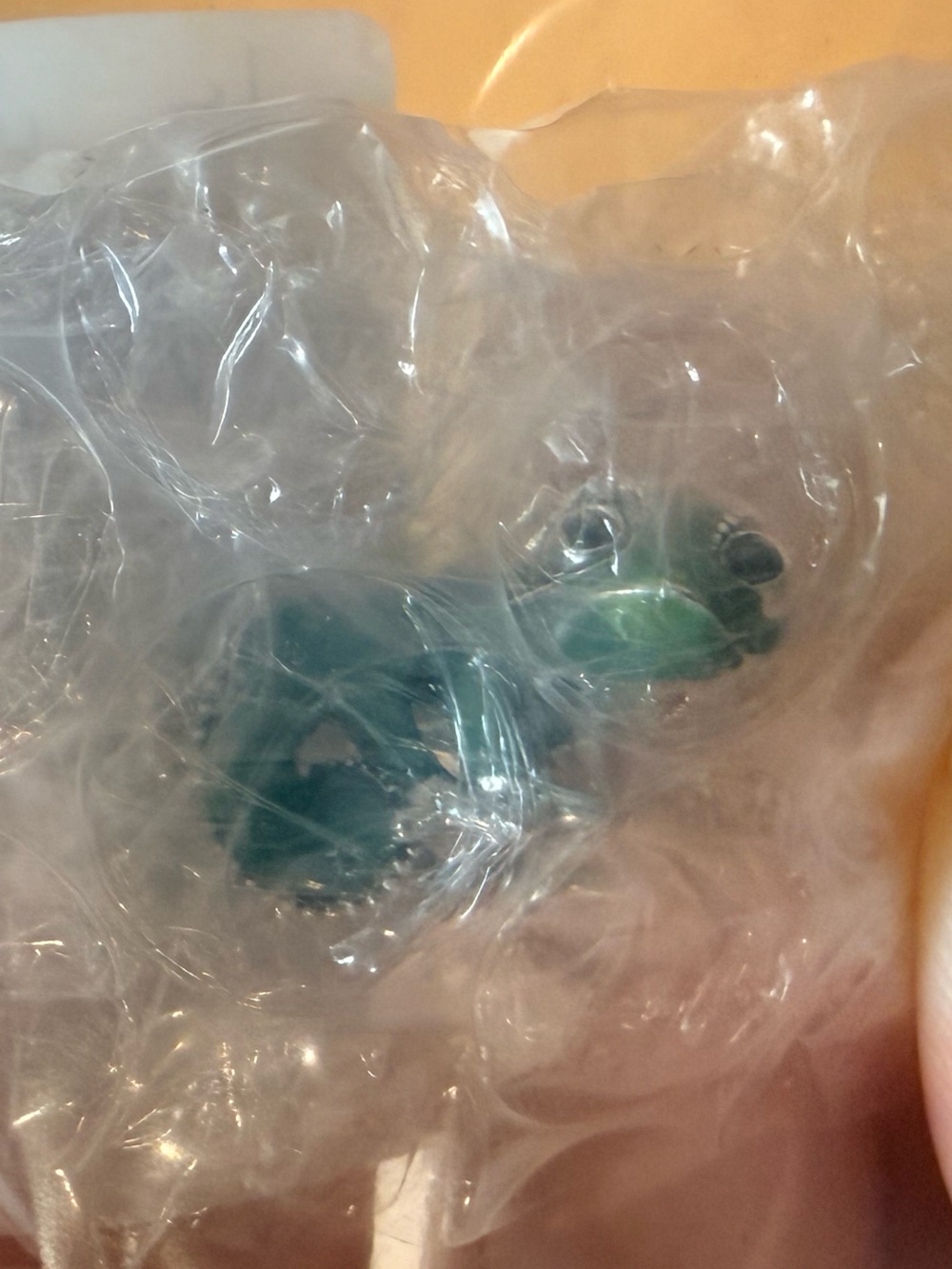 Pandora Disney Tangled Pascal Charm